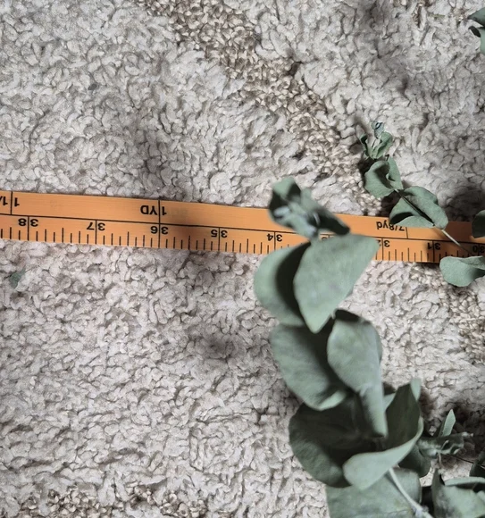 BIG BERTHA 36" Eucalyptus Besom Broom - Picture 7 of 7